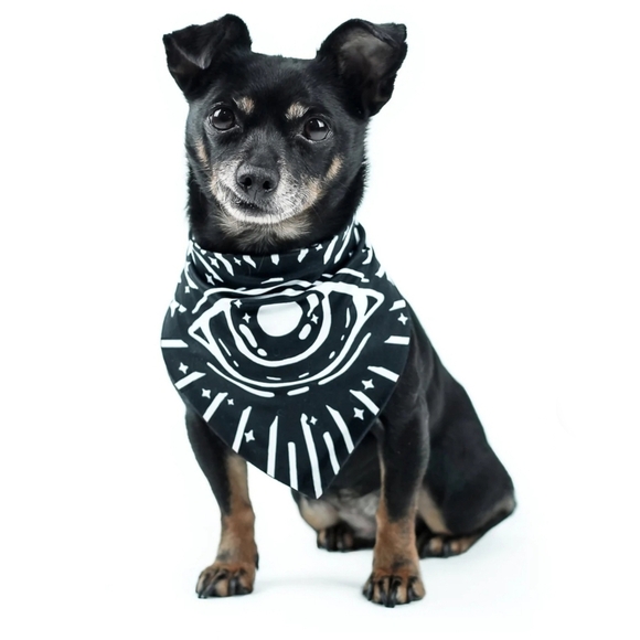 Rogue + Wolf ✦ “Give Me Treatos” Reversible Pet Bandana ✦ Black Ouija Vegan XS/S - Picture 12 of 14